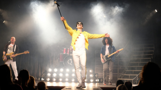 28. leden - Divadlo Radka Brzobohatého: Freddie – Concert show