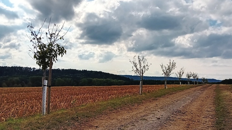 Lanškrouňáci mohou vybírat z deseti návrhů participativního rozpočtu