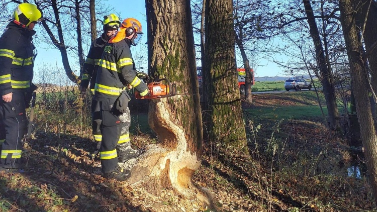 Bobr zaměstnal hasiče v Lanškrouně