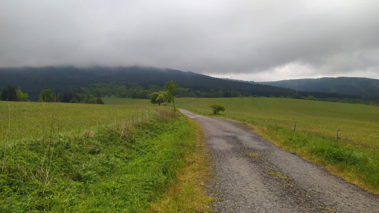 K prameni Tiché Orlice bez davů: Putování Hanušovickou vrchovinou