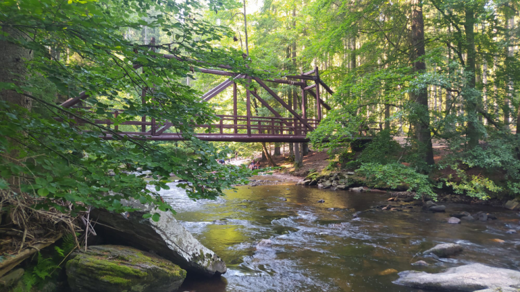 Přírodním parkem Orlice k hranicím a zpět