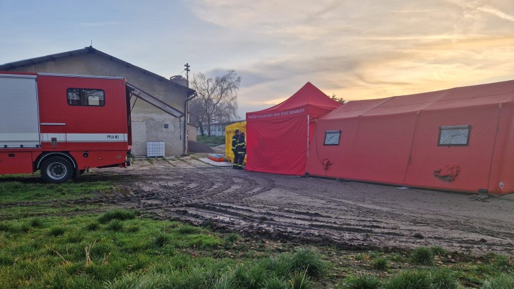 V Albrechticích dnes začne likvidace 50 tisíc kusů drůbeže a 150 tisíc vajec