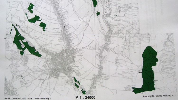 Poslechněte si: Rada města už půl roku odkládá zadání auditu hospodaření v městských lesích